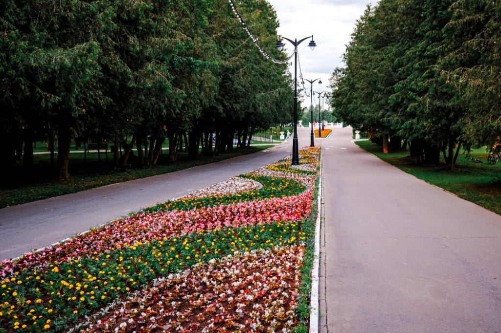 Клумба 2022