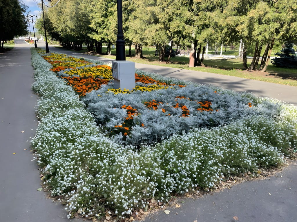 Клумба 2025